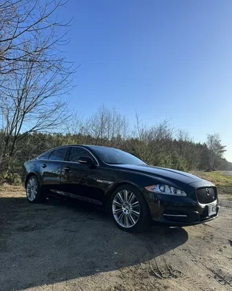 jaguar dolnośląskie Jaguar XJ cena 67700 przebieg: 204000, rok produkcji 2010 z Głogów